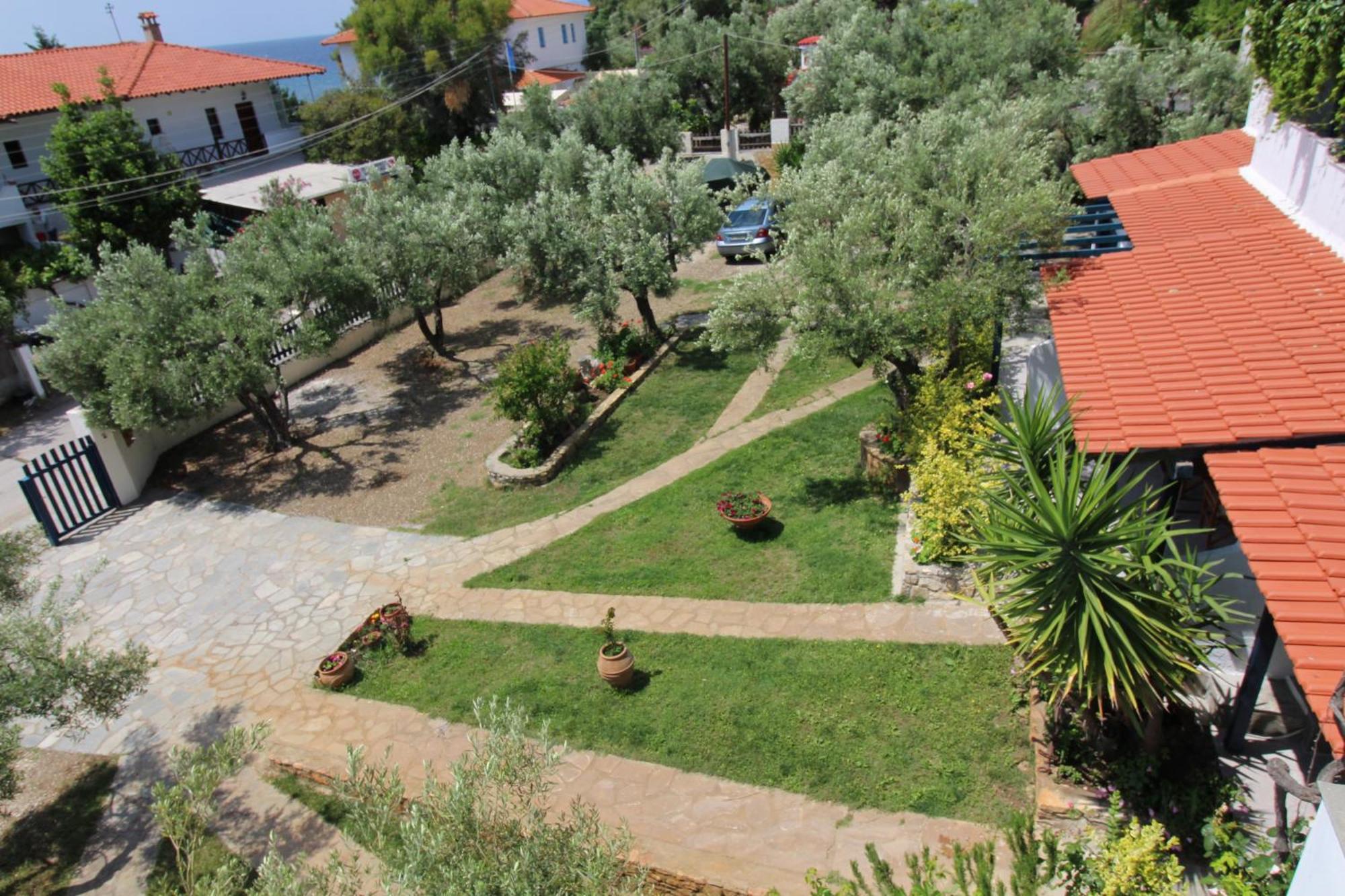 Olive House Appartement Elia Nikitis Buitenkant foto