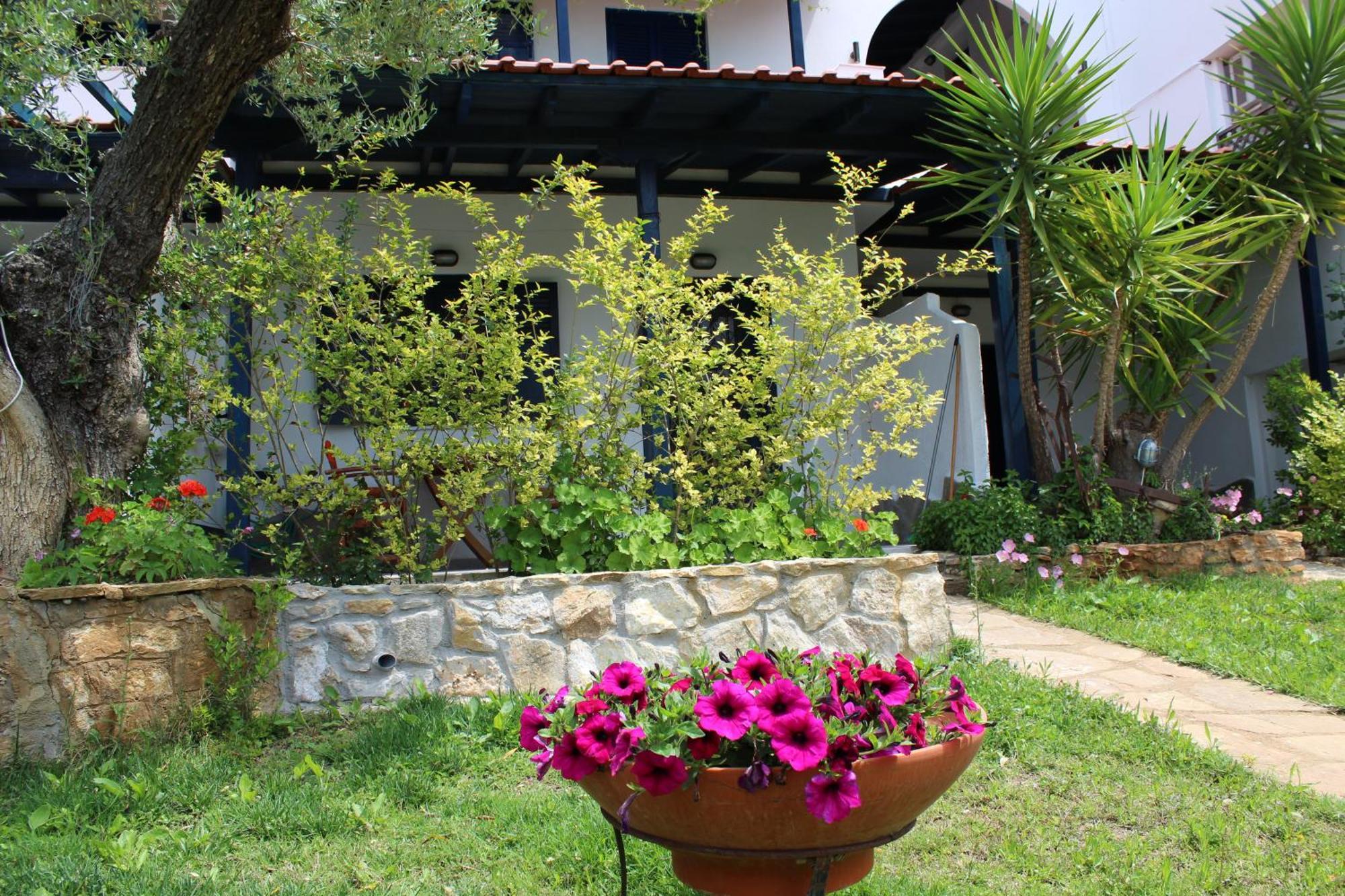 Olive House Appartement Elia Nikitis Buitenkant foto