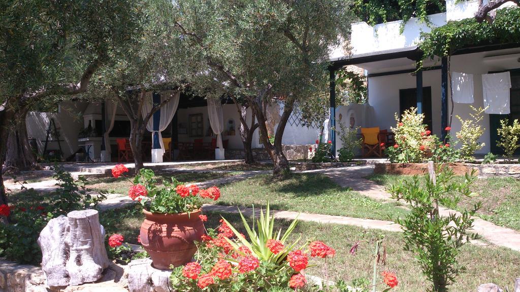 Olive House Appartement Elia Nikitis Buitenkant foto