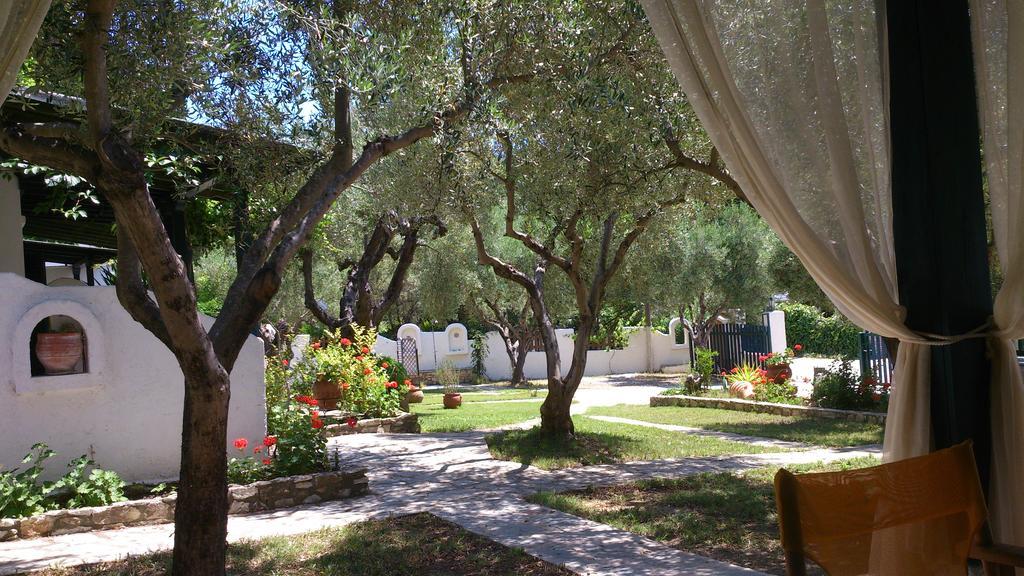 Olive House Appartement Elia Nikitis Buitenkant foto