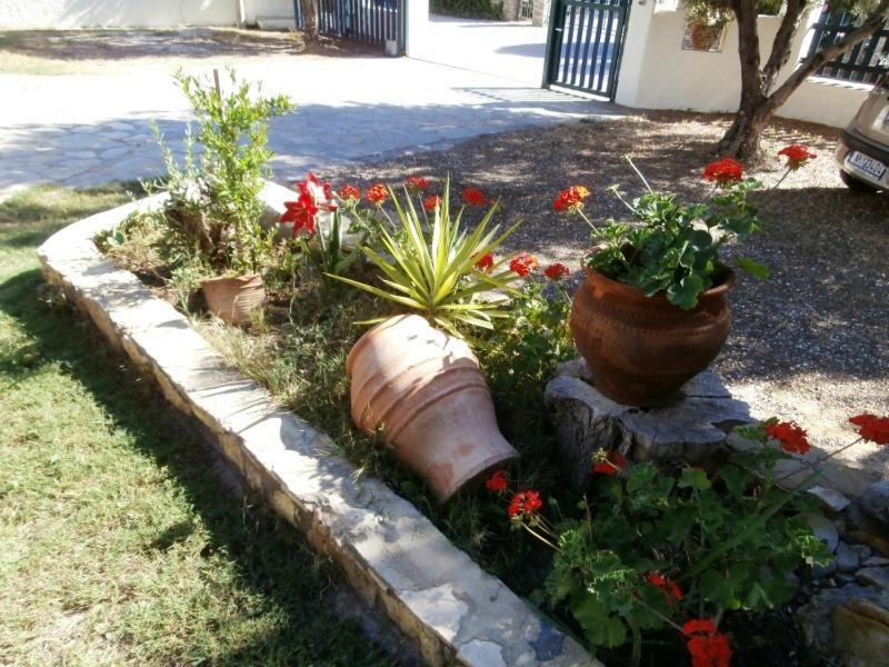 Olive House Appartement Elia Nikitis Buitenkant foto