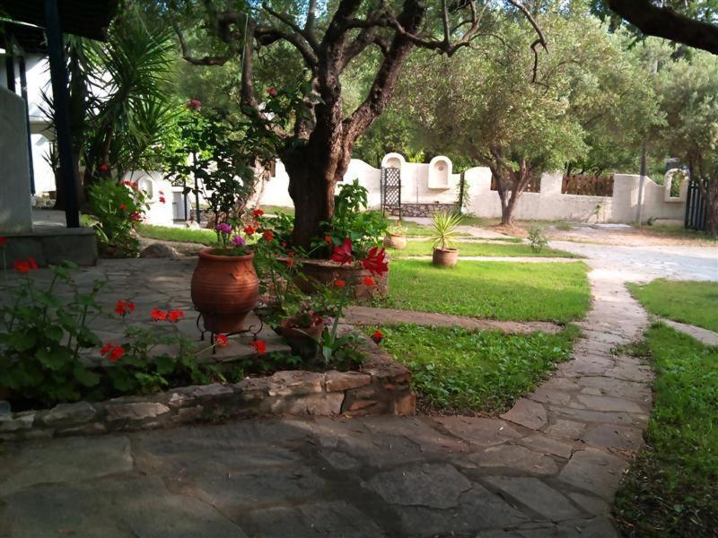Olive House Appartement Elia Nikitis Buitenkant foto